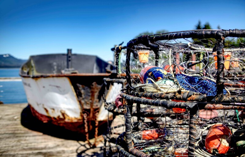 Photo by Simon Hurry on Unsplash