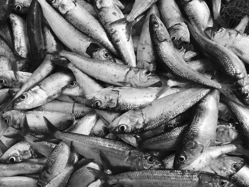 Photo by SIVA T on Unsplash