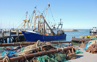 Nederland wordt beschuldigd van het niet rapporteren van nauwkeurige vangsttotalen