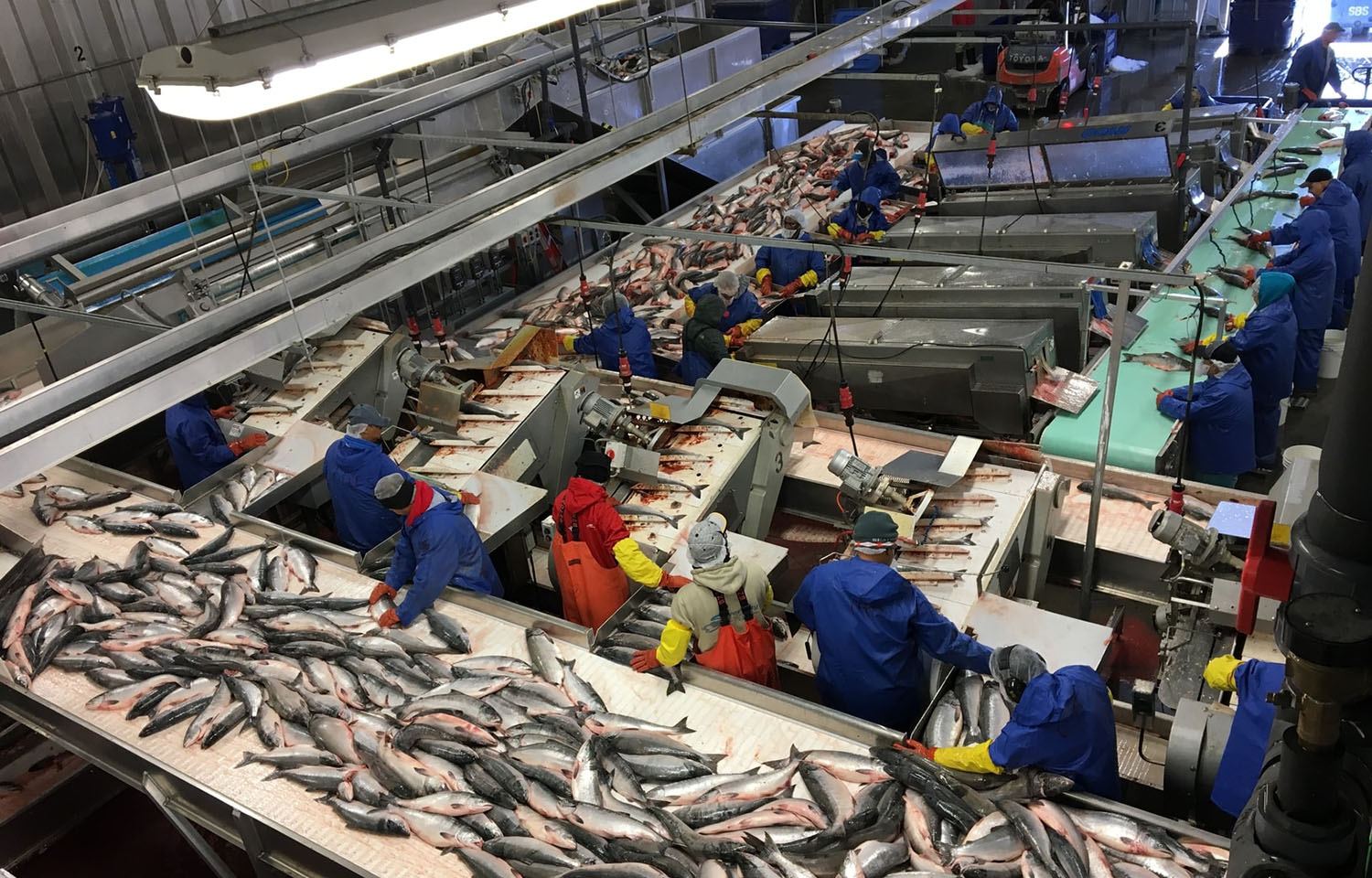 Silver Bay Seafoods’ Abby Fredrick: Current Challenges In Alaska “an 