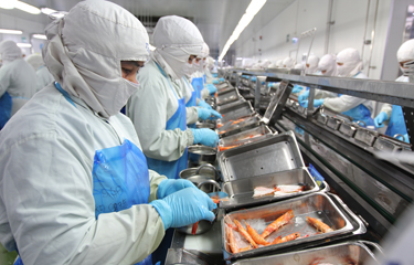 Seafood workers at higher risk for contracting COVID-19, study finds ...