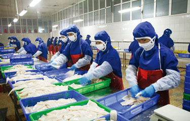Material shortages, shipping prices threatening China’s processing ...