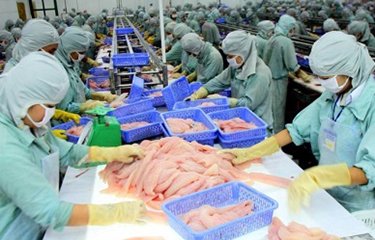 Vietnam’s pangasius exports up 93 percent in 2022 | SeafoodSource