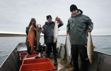 Wild-caught Nunavut Arctic char is available now through mid-September,