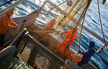円安で日本の漁業セーフティネット制度が活性化