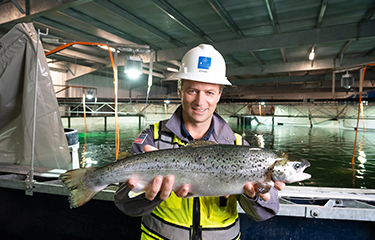 Atlantic Sapphire optimizing Miami RAS operations before expanding further
