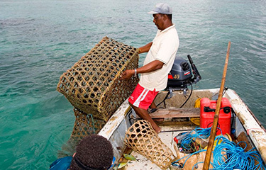 Seychelles approves updated seafood strategy, with emphasis on ...