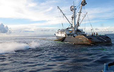 Ahead of International Commission for the Conservation of Atlantic Tunas meeting, NGOs call for better harvesting strategies for large Atlantic tuna and yellowfin tuna