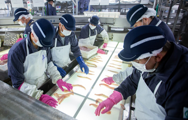 Russia's 2022 pollock catch meeting high expectations | SeafoodSource