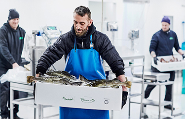 Norcod Norcod earns USD 20 million from Q2 harvest | SeafoodSource