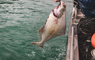Blog - Seattle's Halibut & Sablefish Fishing Community