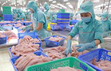 US grants export permission to another six Vietnamese pangasius firms ...