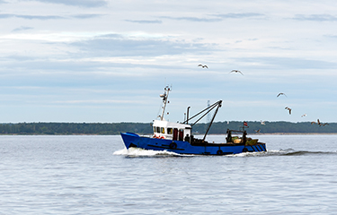 Baltic Sea fishing quotas agreed for 2022 with huge cuts in the cod catch |  SeafoodSource