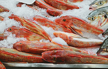 US court issues temporary bans for some New Zealand seafood species ...