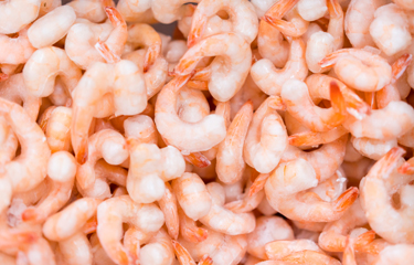 Despite Ban Ecuadorian Shrimp Establishing Strong Foothold In China