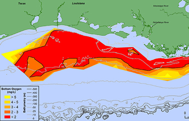 Scientists say Gulf 