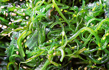 Seaweed farm in Korea is the first of its kind to earn milestone ASC ...