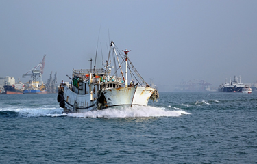 Taiwan responds to NGO reports on forced labor within its fishing fleet ...