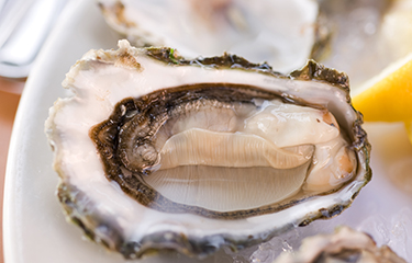 Man dies from vibriosis after eating tainted oysters - Vimarsana News