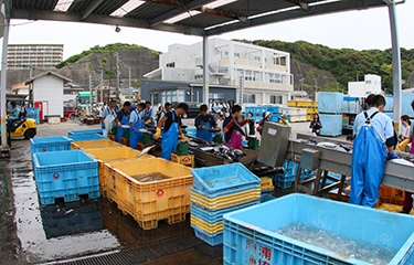 日本の水産業予算は政府やその他の課題を反映している