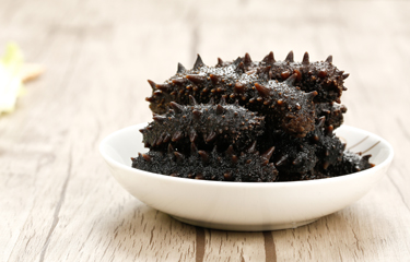 Sea cucumber demand outstripping supply in China | SeafoodSource