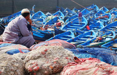 Rancor rises as WTO talks drill down on overfishing