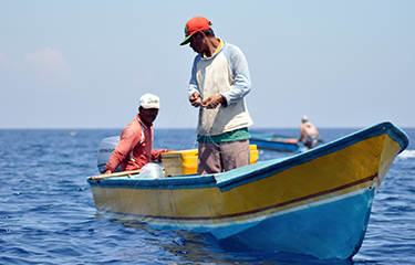 Indonesian handline tuna fishery recognized as sustainable by MSC, Fair ...