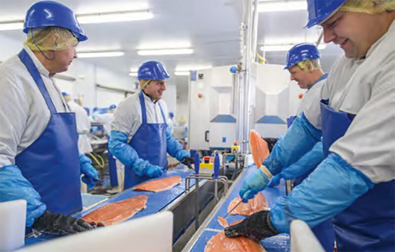 A Hilton Food Group salmon facility