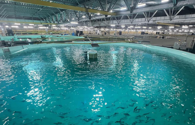 Proximar Seafood's facility in Japan