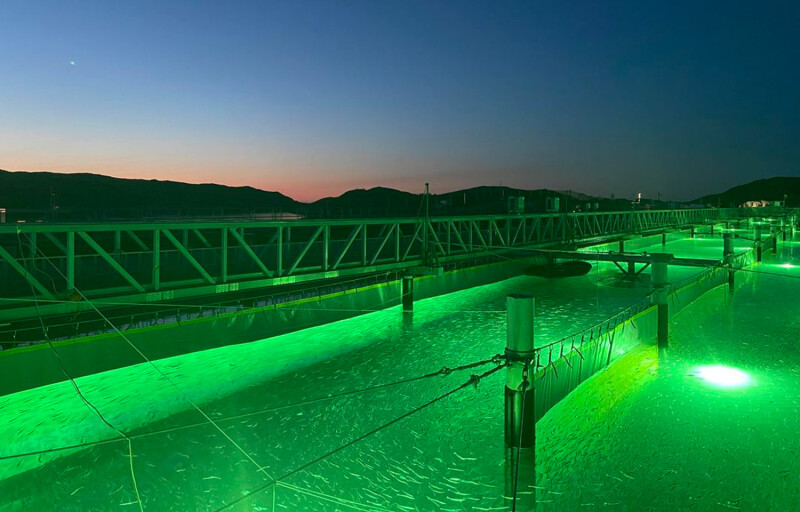 Gigante Salmon's land-based salmon farm at night