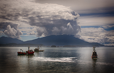 Wild salmon supply, for species other than sockeye, will likely increase in 2023 - Vimarsana News