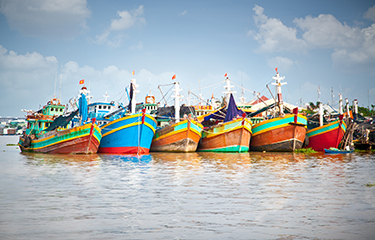 Bán thủy sản của Việt Nam sang EU đã tăng 20% ​​trong nửa đầu năm 2021