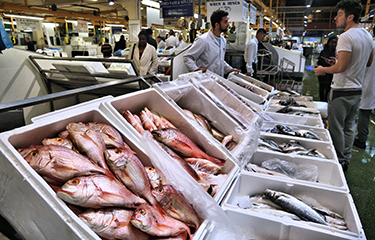 As UK grocery inflation breaks records, seafood sales drop