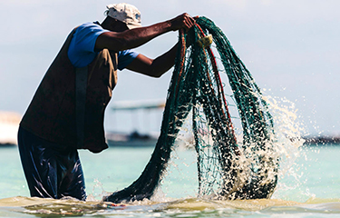 FAO report analyzes climate patterns’ impact on the seafood industry ...