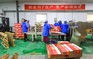 Deluge of Ecuadorian shrimp exports causing glut in China - Vimarsana News