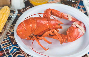 Get Maine Lobster on a plate