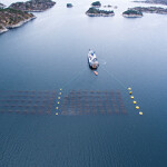 Arctic Seaweed farm aerial shot