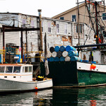 New England fishermen challenge constitutionality of fishery management councils