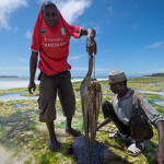 Tanzanian octopus fishermen posing with their catch.