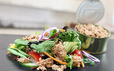 Tuna analog with veggies