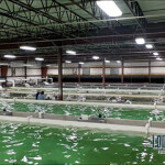 The indoor portion of LocalCoho's salmon recirculating aquaculture system in New York.