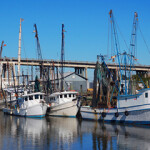 Lawmakers pressure Georgia to join other U.S. states in declaring disaster over shrimp imports