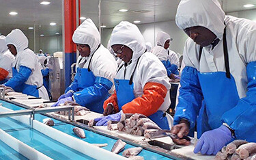 Workers in Namibia process fish.
