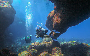 Puerto Rico coral reef