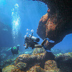 Puerto Rico coral reef