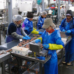 A Trident canning line.