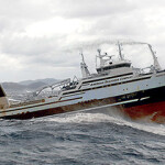 The American Dynsasty