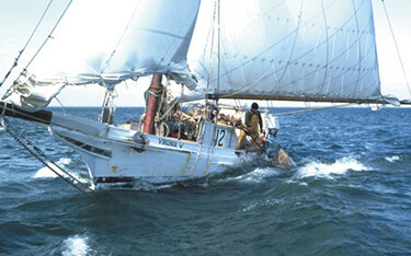 The Maryland Sea Grant studying oysters.