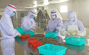 Shrimp preparations in China