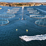 A Masoval aquacultuer